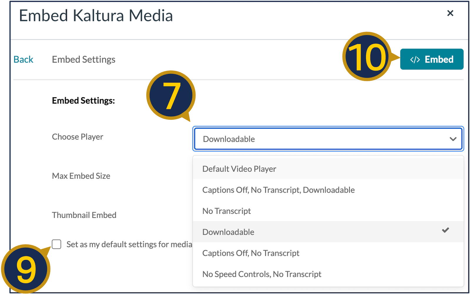 A screenshot of Kaltura's embed settings.