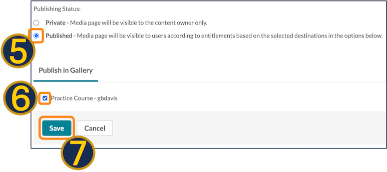 A screenshot of Kaltura media publication options within Canvas.