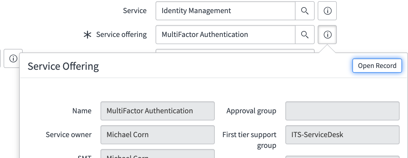 Screenshot: service offering details