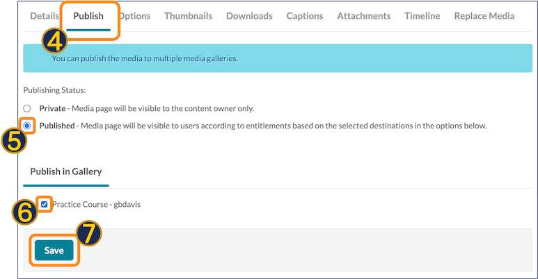 A screenshot of the Kaltura publication options on the "edit page."
